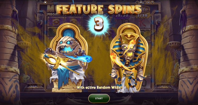 Feature Spins image