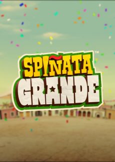 Try Spiñata Grande Now!